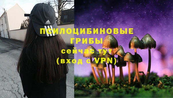 скорость Балахна